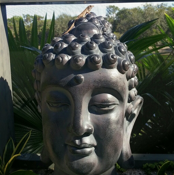 Meet your Posher, Janine - Picture 1 of 1